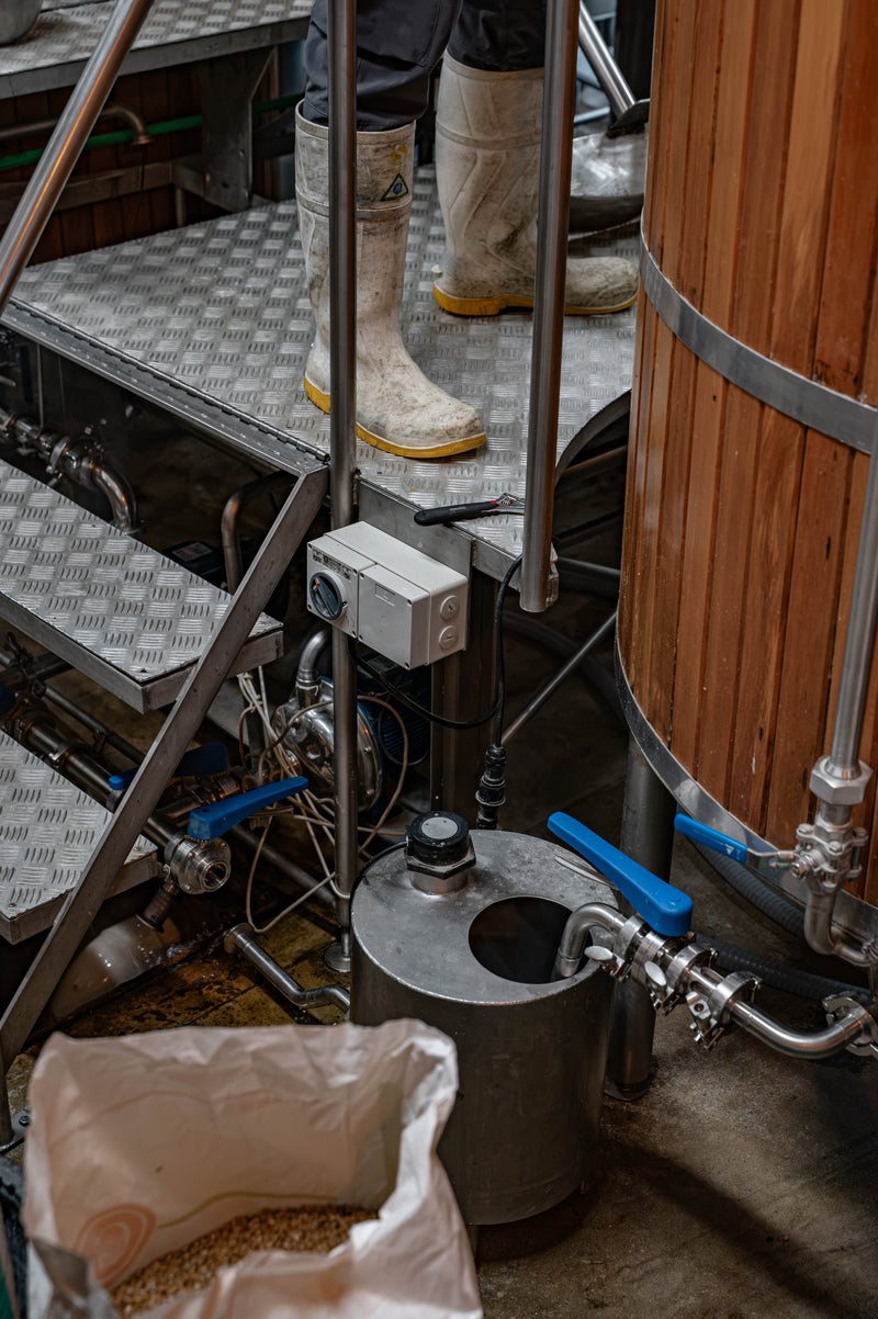 Festbier